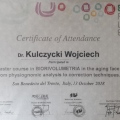 Powiększ obraz: certificate 5