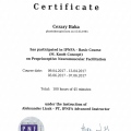 Powiększ obraz: certificate 7