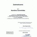 Powiększ obraz: certificate 3