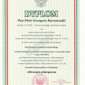 Powiększ obraz: certificate 1