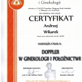 Powiększ obraz: certificate 9