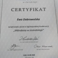 Powiększ obraz: certificate 2