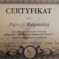 Powiększ obraz: certificate 6