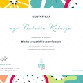 Powiększ obraz: certificate 5