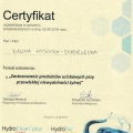 Powiększ obraz: certificate 2