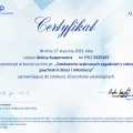 Powiększ obraz: certificate 4