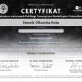 Powiększ obraz: certificate 20