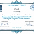 Powiększ obraz: certificate 11