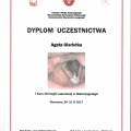 Powiększ obraz: certificate 60