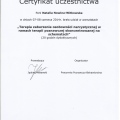 Powiększ obraz: certificate 9