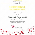 Powiększ obraz: certificate 16