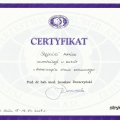Powiększ obraz: certificate 6