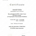 Powiększ obraz: certificate 7