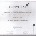 Powiększ obraz: certificate 63