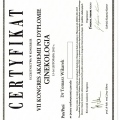 Powiększ obraz: certificate 13
