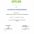 Powiększ obraz: certificate 9