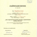 Powiększ obraz: certificate 3