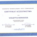 Powiększ obraz: certificate 14