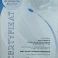 Powiększ obraz: certificate 6