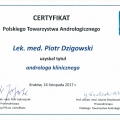 Powiększ obraz: certificate 3