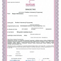 Powiększ obraz: certificate 1