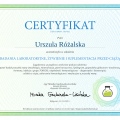 Powiększ obraz: certificate 40