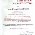 Powiększ obraz: certificate 9