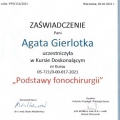 Powiększ obraz: certificate 189
