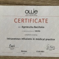 Powiększ obraz: certificate 1
