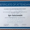 Powiększ obraz: certificate 8