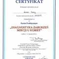 Powiększ obraz: certificate 2