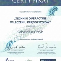 Powiększ obraz: certificate 16