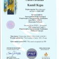 Powiększ obraz: certificate 17