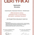 Powiększ obraz: certificate 39