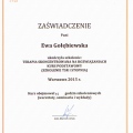 Powiększ obraz: certificate 2