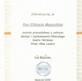 Powiększ obraz: certificate 4