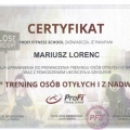 Powiększ obraz: certificate 33