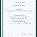 Powiększ obraz: certificate 44