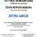 Powiększ obraz: certificate 7