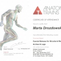 Powiększ obraz: certificate 4