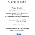 Powiększ obraz: certificate 12