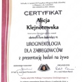 Powiększ obraz: certificate 3