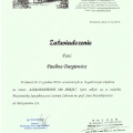 Powiększ obraz: certificate 4