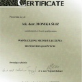 Powiększ obraz: certificate 14