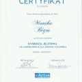 Powiększ obraz: certificate 47