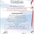 Powiększ obraz: certificate 9