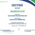 Powiększ obraz: certificate 9