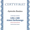 Powiększ obraz: certificate 4