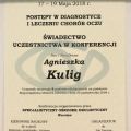Powiększ obraz: certificate 4