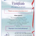 Powiększ obraz: certificate 50